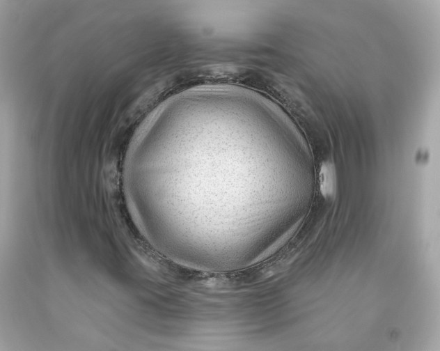 X0000091471395200709061808