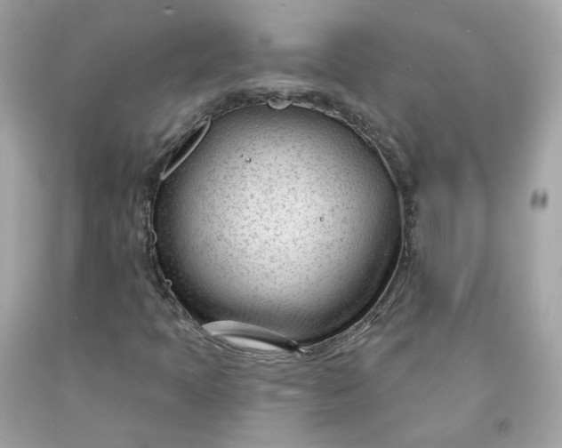 X0000091471397200709061808