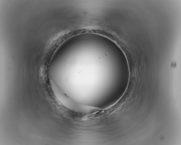 X0000091471398200709061808