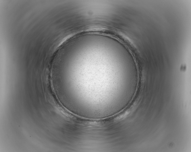 X0000091471401200709061808