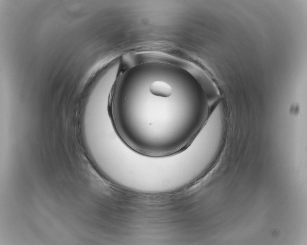 X0000091471402200709061808