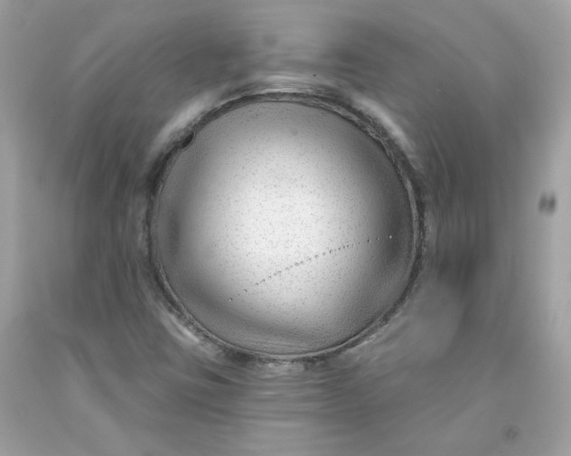 X0000091471403200709061808