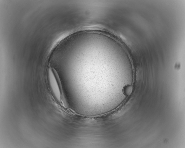 X0000091471405200709061808