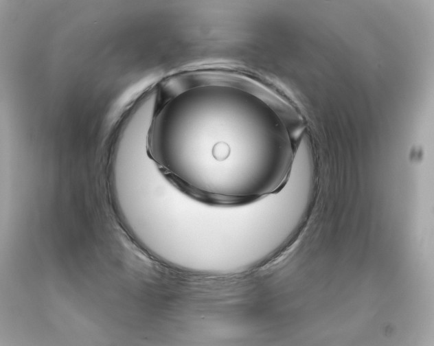 X0000091471406200709061808