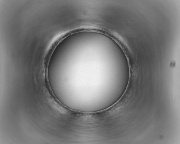 X0000091471408200709061808