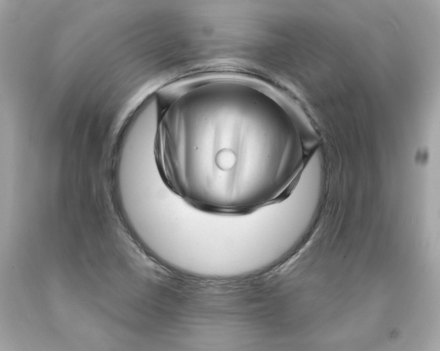 X0000091471410200709061808