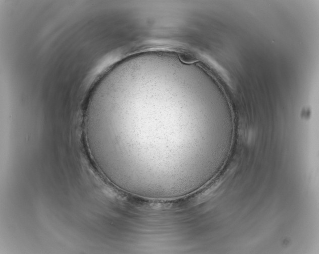 X0000091471411200709061808