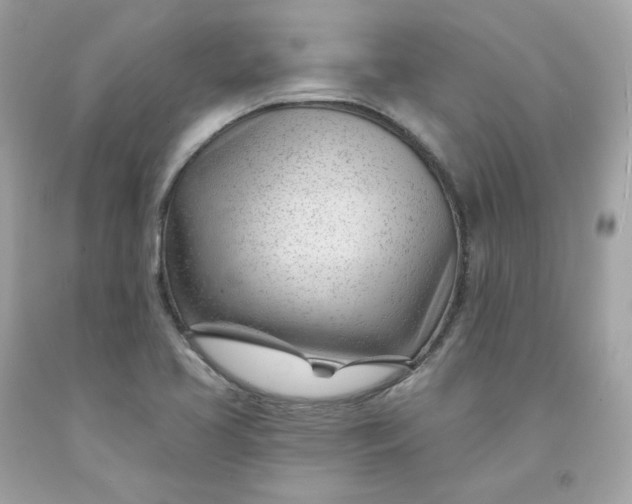 X0000091471413200709061808