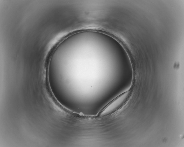 X0000091471414200709061808