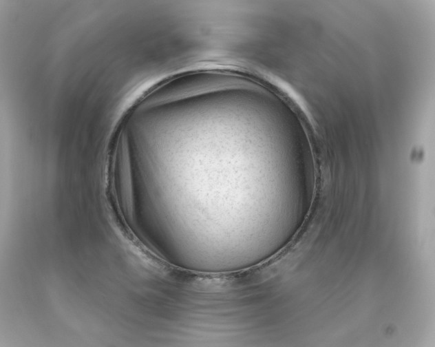 X0000091471415200709061808