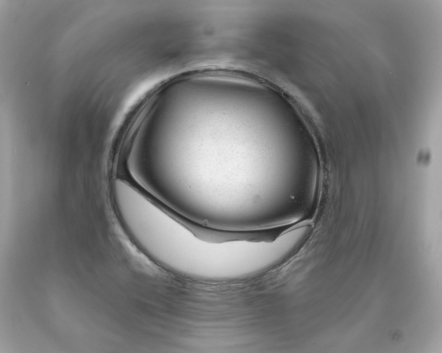 X0000091471416200709061808