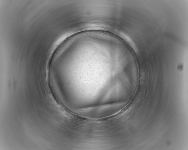 X0000091471419200709061808