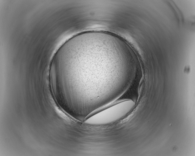 X0000091471421200709061808