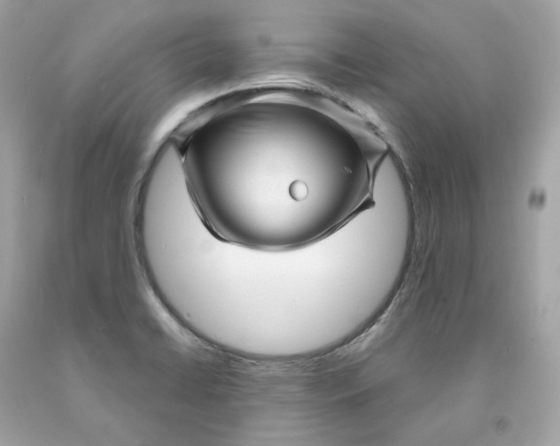 X0000091471422200709061809