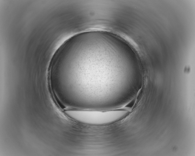 X0000091471423200709061809