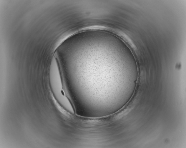 X0000091471425200709061809