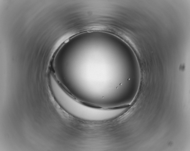 X0000091471426200709061809