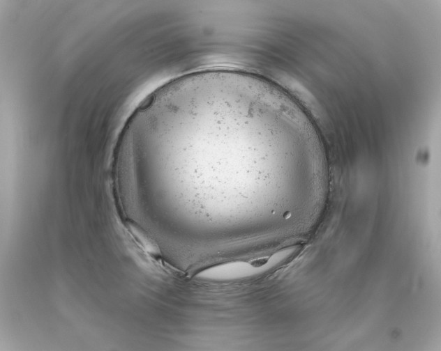 X0000091471427200709061809