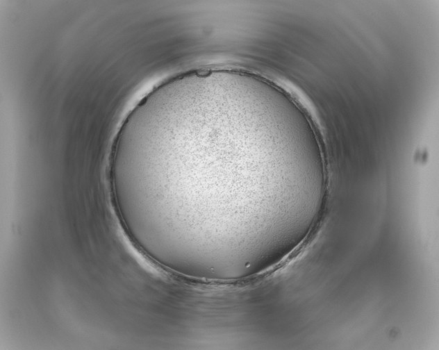 X0000091471429200709061809