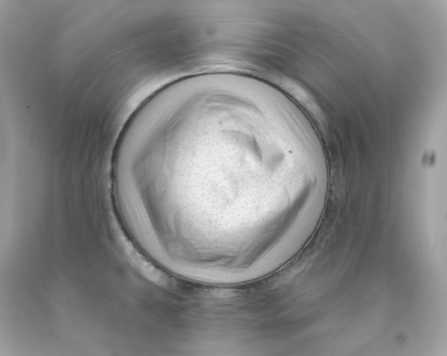 X0000091471431200709061809