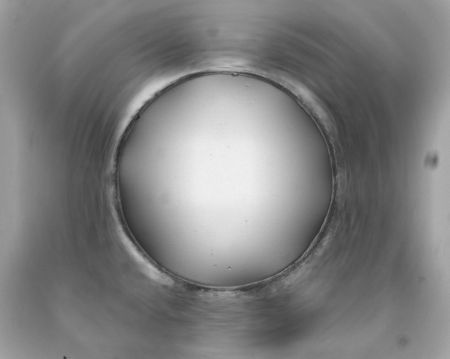 X0000091471432200709061809