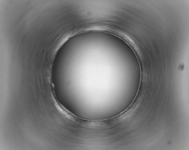 X0000091471433200709061809