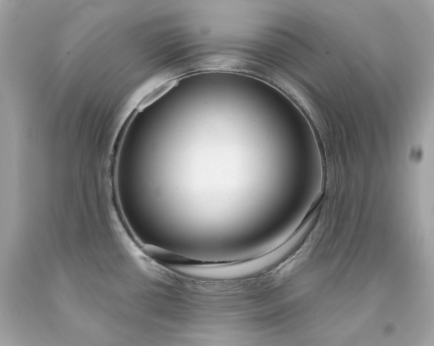 X0000091471434200709061809