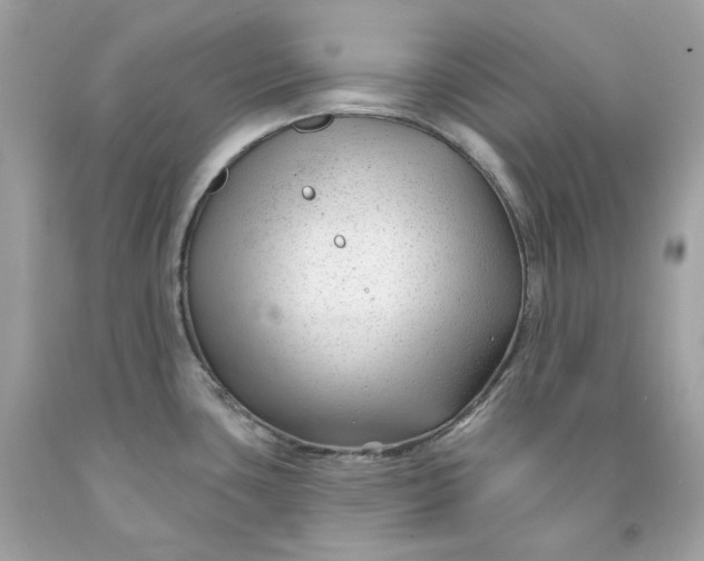 X0000091471435200709061809