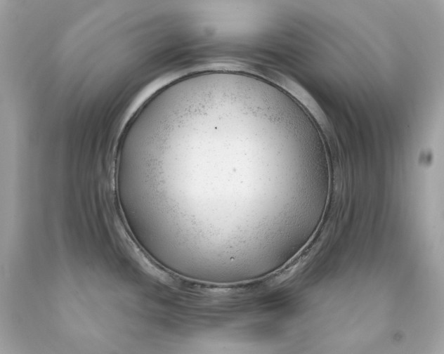 X0000091471436200709061809