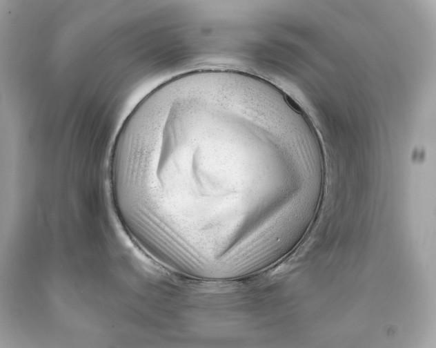 X0000091471440200709061809