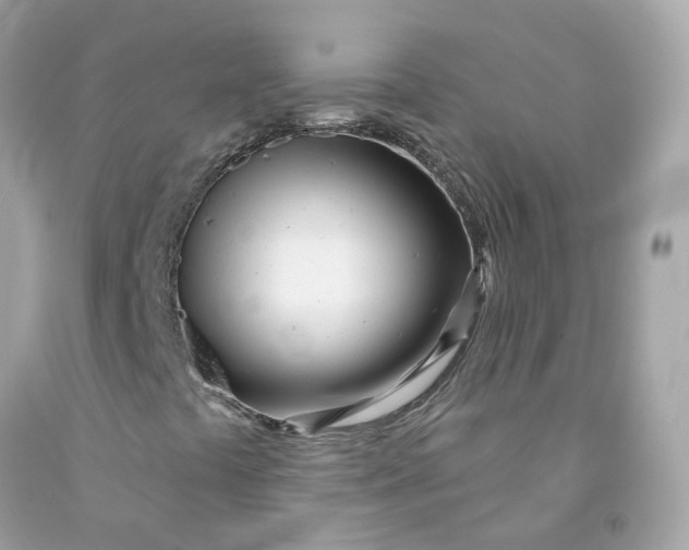 X0000091471441200709061808