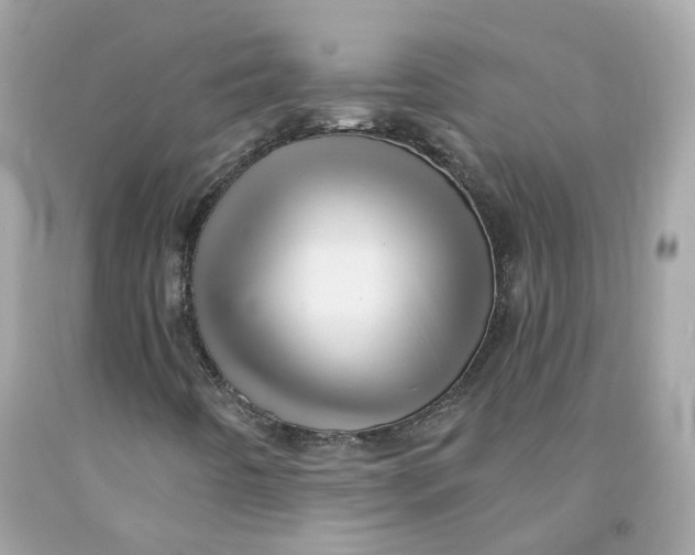 X0000091471442200709061808