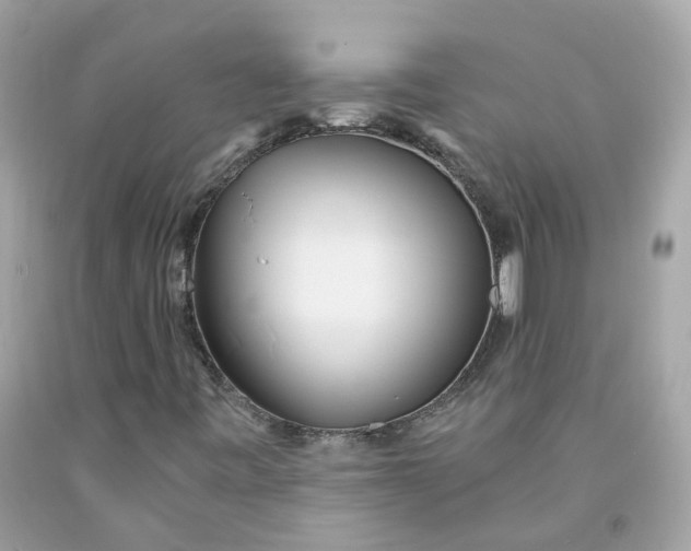 X0000091471443200709061808