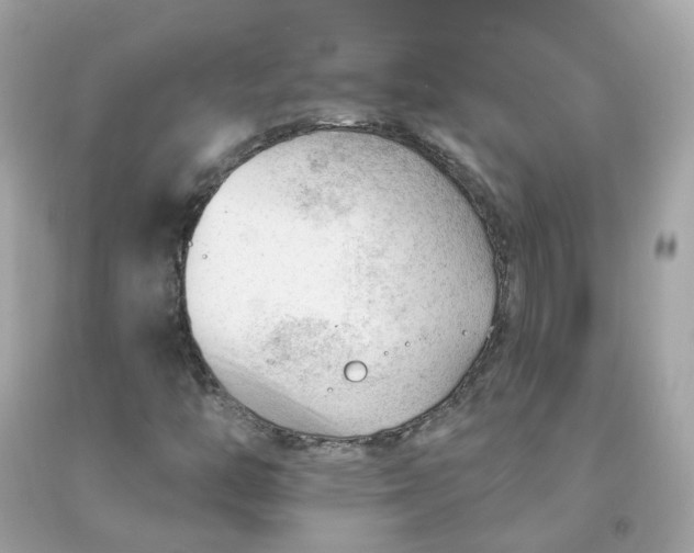 X0000091471446200709061808