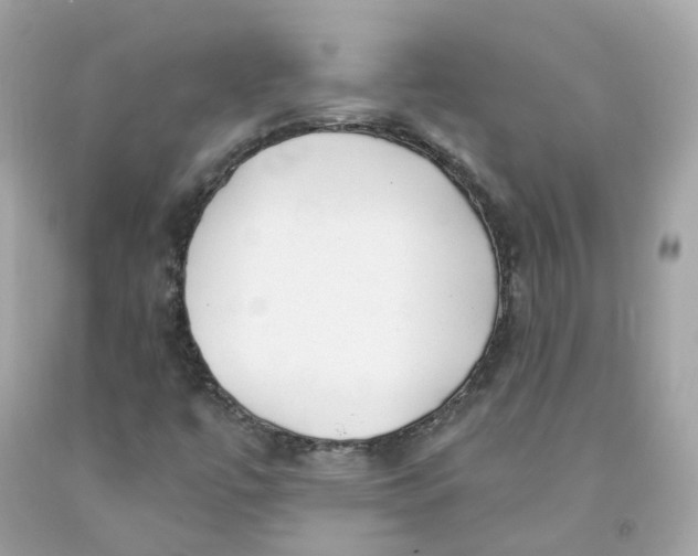 X0000091471447200709061808