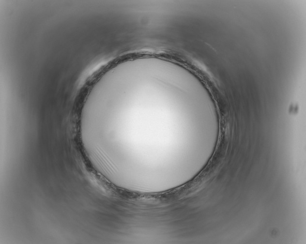 X0000091471448200709061808