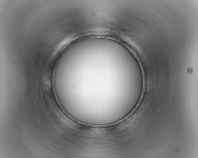 X0000091471451200709061808