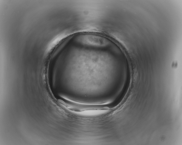 X0000091471455200709061808