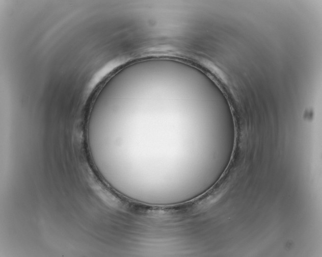 X0000091471458200709061808