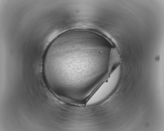 X0000091471459200709061808