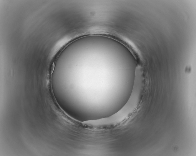 X0000091471461200709061808