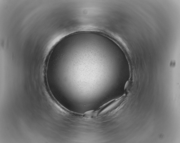 X0000091471463200709061808