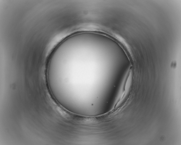 X0000091471464200709061808