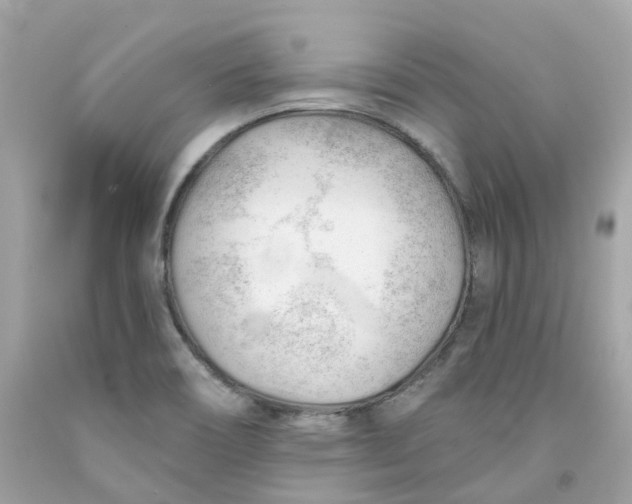 X0000091471466200709061808