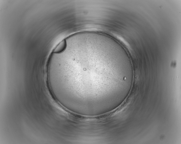 X0000091471467200709061808