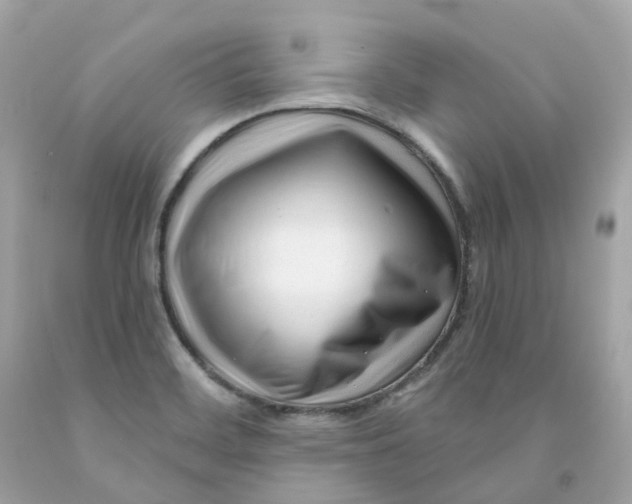 X0000091471468200709061808