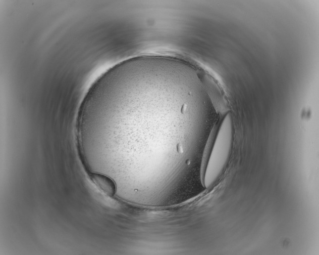 X0000091471471200709061808