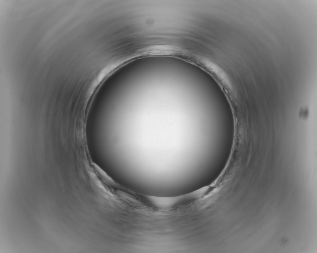 X0000091471473200709061808