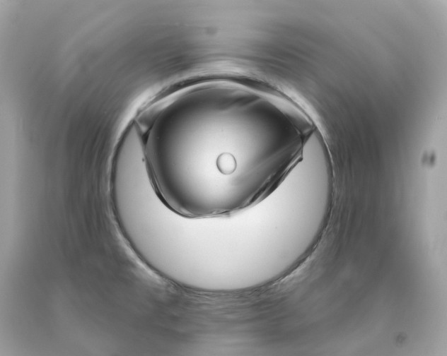 X0000091471477200709061808