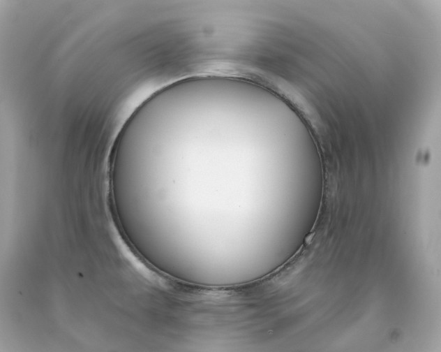 X0000091471479200709061807